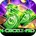 australian cricket Mobile Deluxe