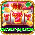 bangladesh cricket match Deluxe Pro v4.1.5