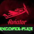 bingopkr Ultimate Pro v2.3.3