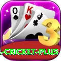 bpl live cricket Games King