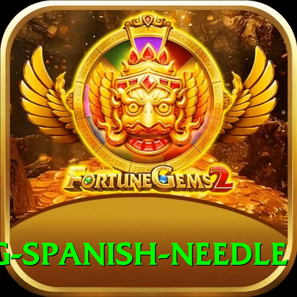 canyoning spanish needle Plus Edition v1.6.5 - 2