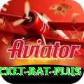cricket bat Official v1.6.5
