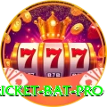 cricket bat Bonus Premium v2.6.7