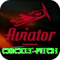 cricket pitch Elite Pro v4.0.7