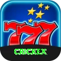 crickex Plus vv2.8.5