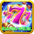 david wiese Pro Edition v4.3.8