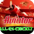 fastest ball in cricket Plus Pro v4.5.1