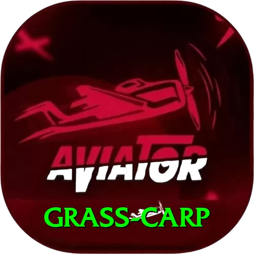 grass carp Apps (Tools & Injectors) Pro v5.8.4 - 2
