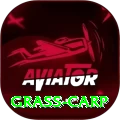 grass carp Apps (Tools & Injectors) Pro v5.8.4