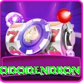 helambu rhododendron Games (Casino & Earning) Premium v5.7.2