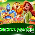 india cricket match Gold v5.7.5