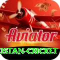 india pakistan cricket Gold v4.8.2