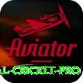 international cricket Pakistan Prime v2.1.4