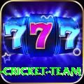 ireland cricket team Games (Casino & Earning) Deluxe v4.1.4