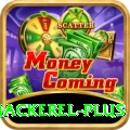 king mackerel Casino Max v4.9.1