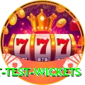 most test wickets Deluxe Edition v2.7.1