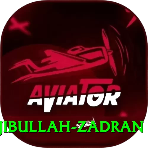 najibullah zadran App - 2