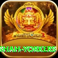 naseem shah yorkers VIP v4.1.5