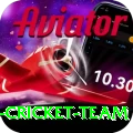 pakistan women cricket team Plus Edition v3.8.4