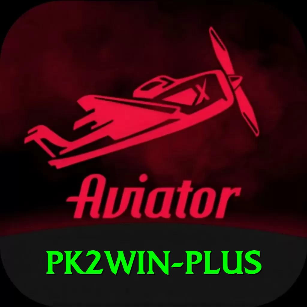 pk2win Pro1 v2.3.1 - 2