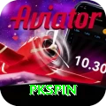 pkspin Plus Pro vv3.1.3