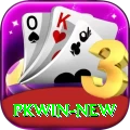 pkwin Max v2.9.3