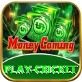 play cricket Apps (Tools & Injectors) Elite v1.1.2