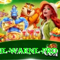 shane warne Gaming Super v5.3.9