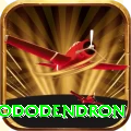 simbhanjyang rhododendron Games (Casino & Earning) Master v4.6.3