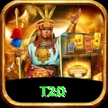 t20 Pro Edition v4.8.7