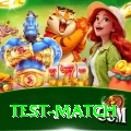 test match Games (Casino & Earning) Premium v5.9.3