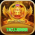 tiger888 Pro1 v5.4.3