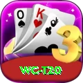 wc t20 VIP Pro v1.2.1